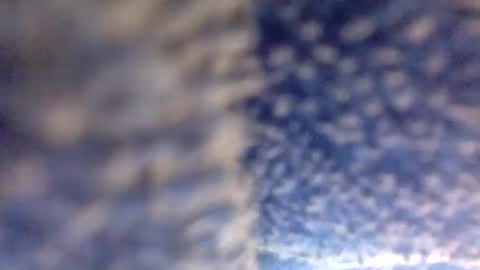 property of ....... online show from May 27, 6:54 am