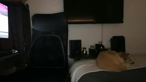 Snapshot of mr_miss_dannys chatting on March 1, 3:10 am Dannys online show from March 1, 3:10 am