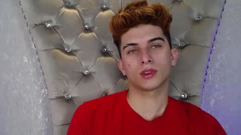 williseo online show from November 24, 7:48 pm