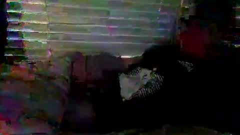 Snapshot of mrgray11xxx chatting on December 23, 6:37 pm mrgray11xxx aussie online show from December 23, 6:37 pm