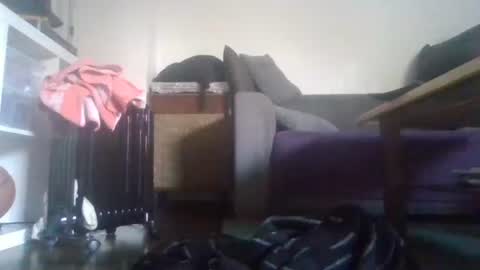 Nikola online show from November 13, 8:19 am