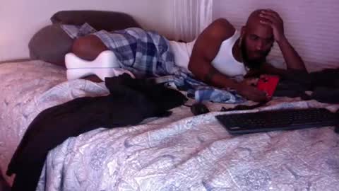 mt visuals online show from January 10, 11:18 pm