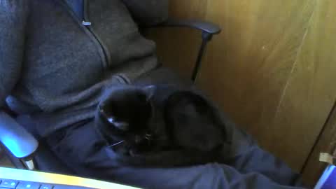 muller520 online show from April 13, 3:45 pm