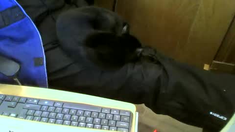 muller520 online show from January 15, 2:35 pm