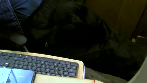 muller520 online show from September 25, 5:34 pm