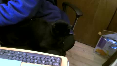 muller520 online show from February 27, 5:26 pm