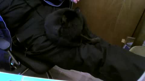 muller520 online show from February 26, 3:41 pm