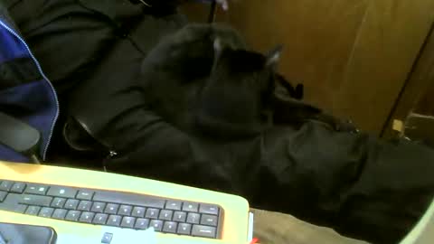 muller520 online show from February 12, 4:55 pm