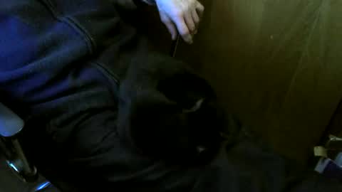 muller520 online show from March 2, 3:52 pm