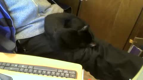 muller520 online show from February 11, 4:46 pm