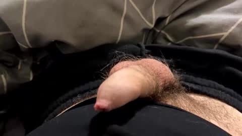 nesquick741960 online show from October 30, 11:55 am