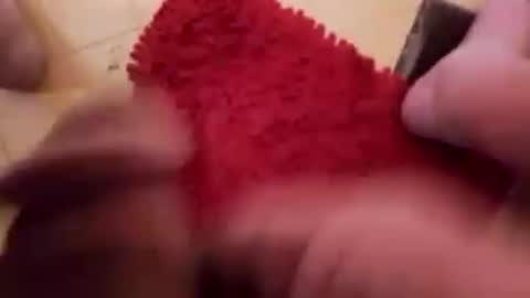 BookWriter online show from January 21, 7:07 am