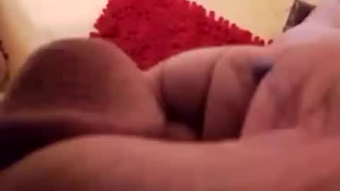 BookWriter online show from December 13, 8:21 am