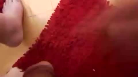 BookWriter online show from March 8, 6:52 am