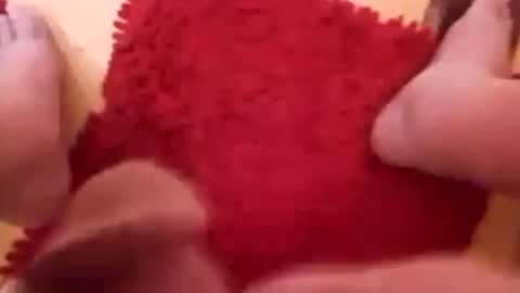 BookWriter online show from January 6, 6:14 am