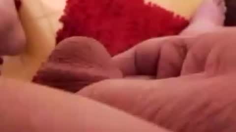 BookWriter online show from January 22, 6:52 am