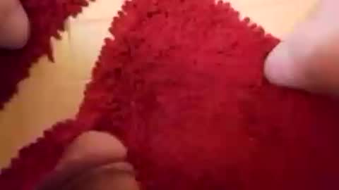 BookWriter online show from February 16, 7:48 am