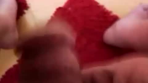 BookWriter online show from March 5, 7:05 am