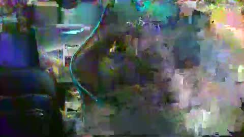 nick stavrou online show from August 25, 5:07 pm