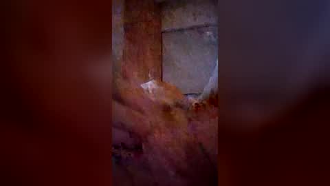 TheCock online show from June 26, 1:46 pm