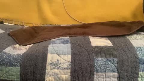 Snapshot of nickzoos3 chatting on December 3, 4:46 am Nick Zoos online show from December 3, 4:46 am