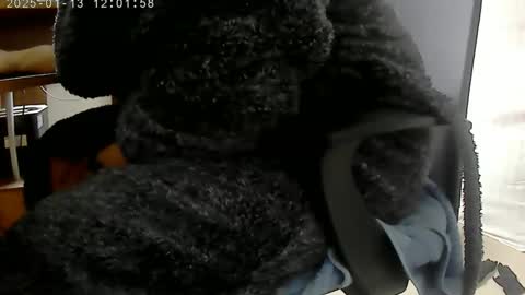 Snapshot of nineinchhard chatting on January 13, 12:02 pm nineinchhard online show from January 13, 12:02 pm
