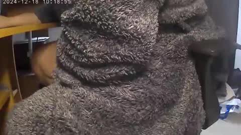Snapshot of nineinchhard chatting on December 18, 10:19 am nineinchhard online show from December 18, 10:19 am