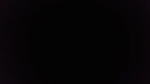 Snapshot of ninjadance chatting on February 21, 9:56 am Ninjadance online show from February 21, 9:56 am