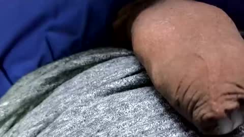 nintendo_man online show from February 5, 8:05 pm