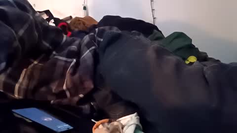 Noah Wesley online show from December 10, 7:16 am