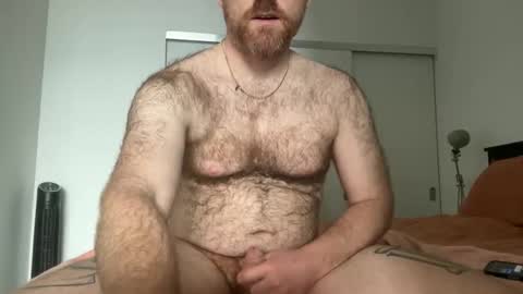 No Plan online show from April 19, 6:32 pm