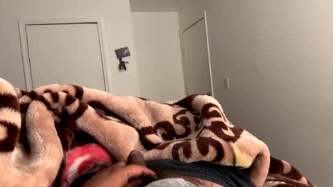 se le perdio algo perra hp online show from March 7, 8:13 am