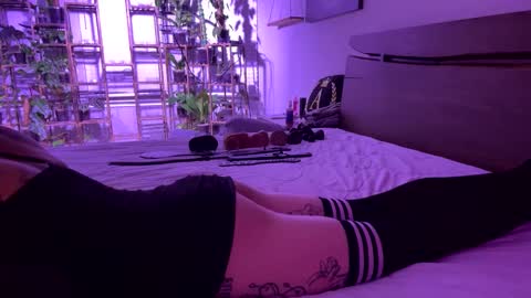 notapouta online show from January 23, 11:48 am