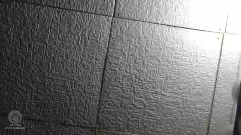 Superfeno online show from April 22, 5:14 am