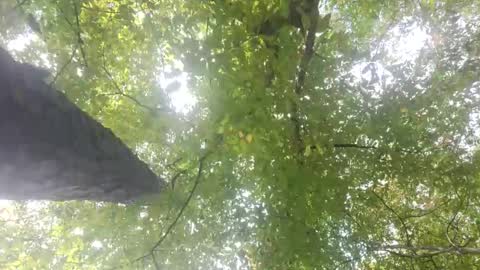 padilladavid3030 online show from September 23, 6:18 pm