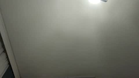   PALA online show from January 27, 2:31 am