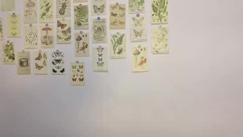 patri_ck_villa online show from February 1, 2:54 am