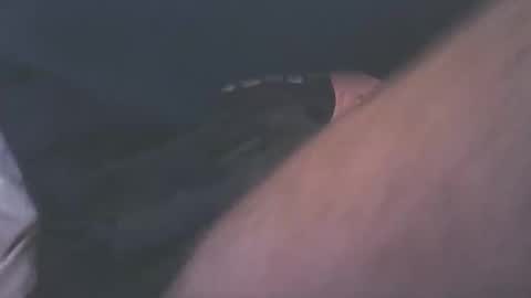 patton1990 online show from March 6, 9:28 am