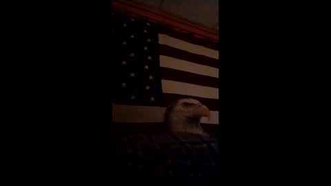 pbtalentscout online show from March 15, 4:31 am