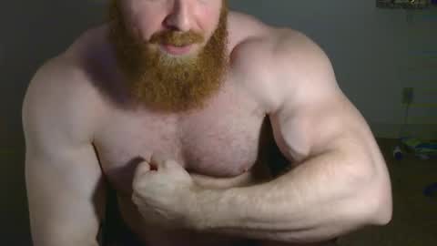 Pec inspector online show from February 26, 3:42 am