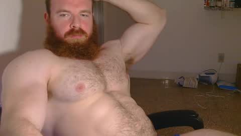 Pec inspector online show from February 5, 3:45 am