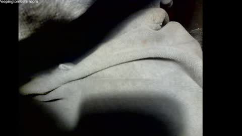 Snapshot of peepingtom66 chatting on October 19, 2:31 pm peepingtom66 online show from October 19, 2:31 pm