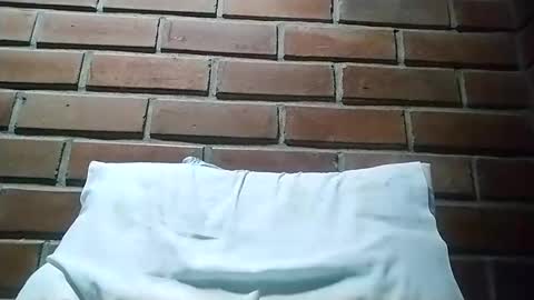 perseowikins online show from November 19, 3:17 am