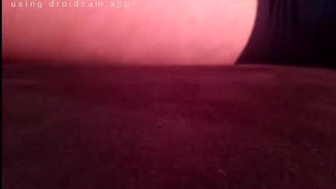 petrli online show from February 7, 10:19 am