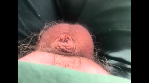 petrol63102 online show from February 14, 12:22 pm