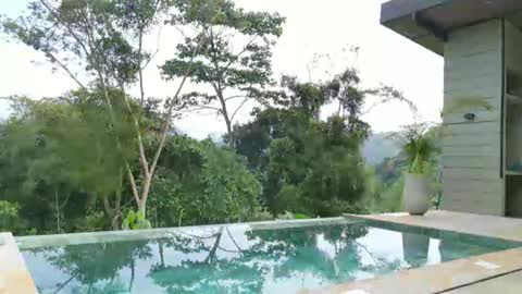 pgcf95 online show from March 28, 1:33 pm