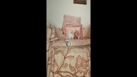 philos1979 online show from January 19, 1:30 am