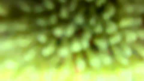 Mike online show from February 4, 9:10 pm