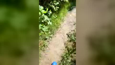 Tim online show from July 21, 9:33 am