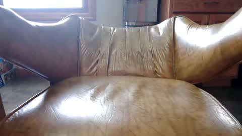 Playfulldick1 online show from December 20, 5:08 pm